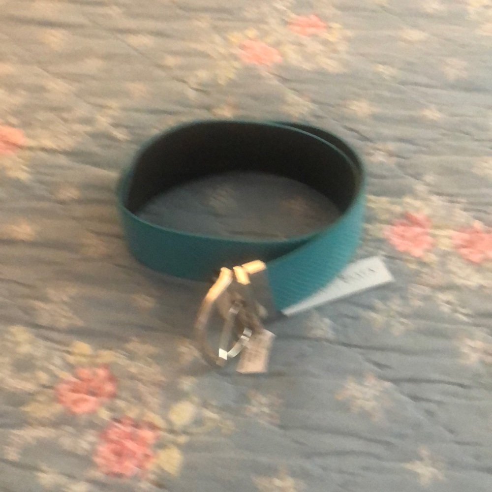 WHBM belt
